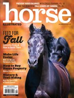 Horse Illustrated